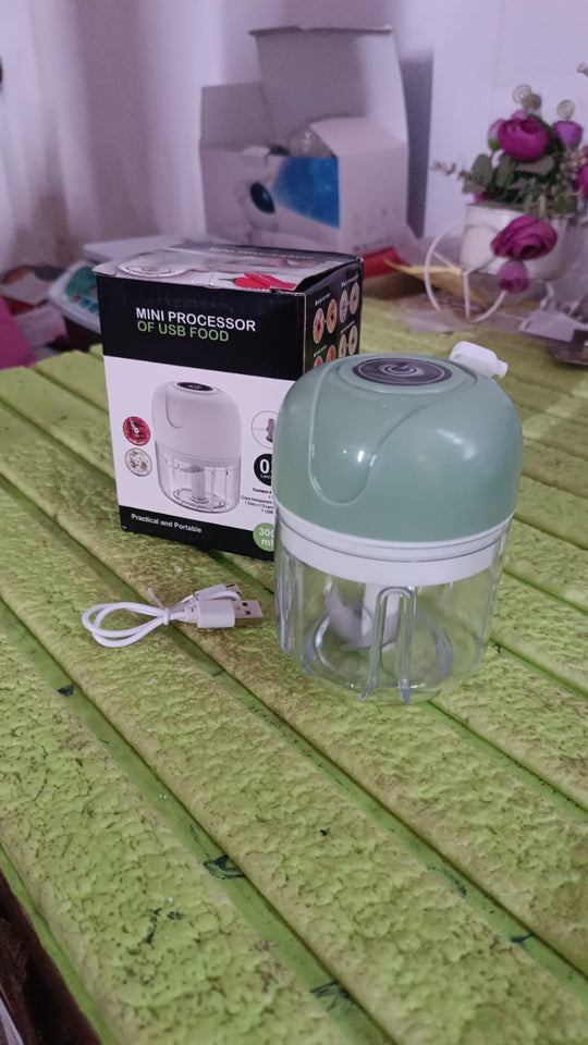 ZZZWireless Usb Rechargeable Mini Electric Garlic Machine  Chopper (250ml)
