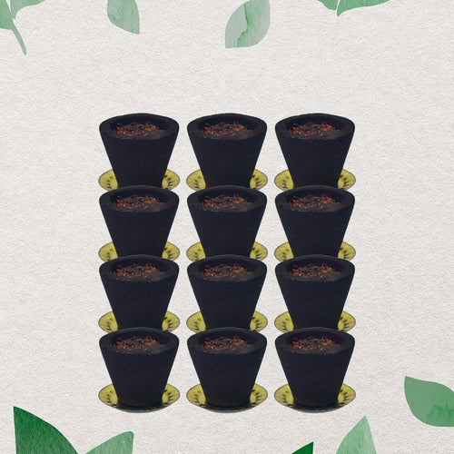 ZZZPremium Gugal Sambrani Cup Sambrani Havan Cups (12 Pcs Set)